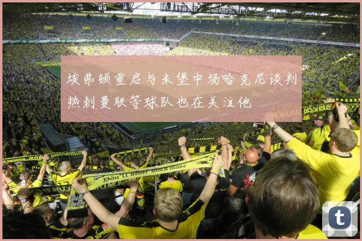 埃弗顿重启与米堡中场哈克尼谈判热刺曼联等球队也在关注他