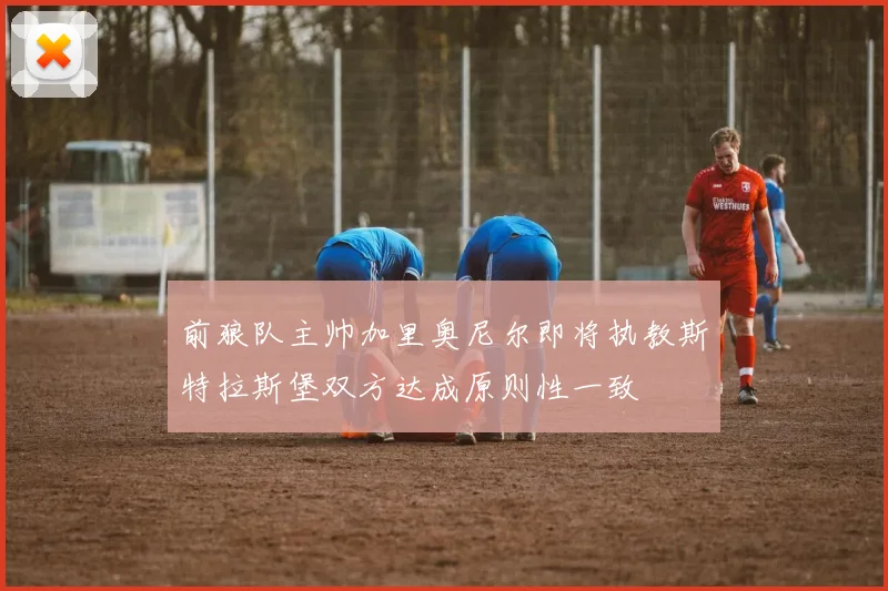 前狼队主帅加里奥尼尔即将执教斯特拉斯堡双方达成原则性一致